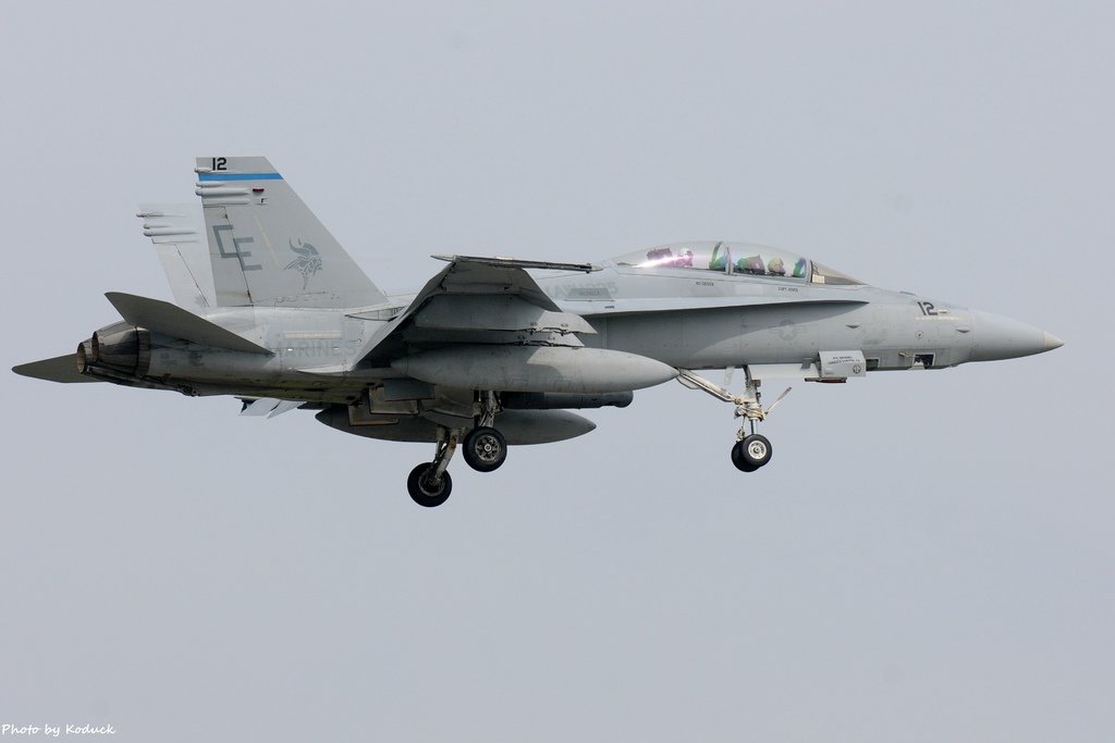 US Marines VMFA(AW)-225 FA-18D Hornet(12)@Atsugi_1(1)_20150515.JPG