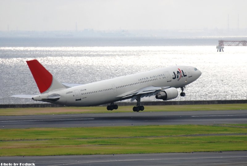 JAL A300B4-622R(JA8561)@Haneda_1(2)_20100914.jpg