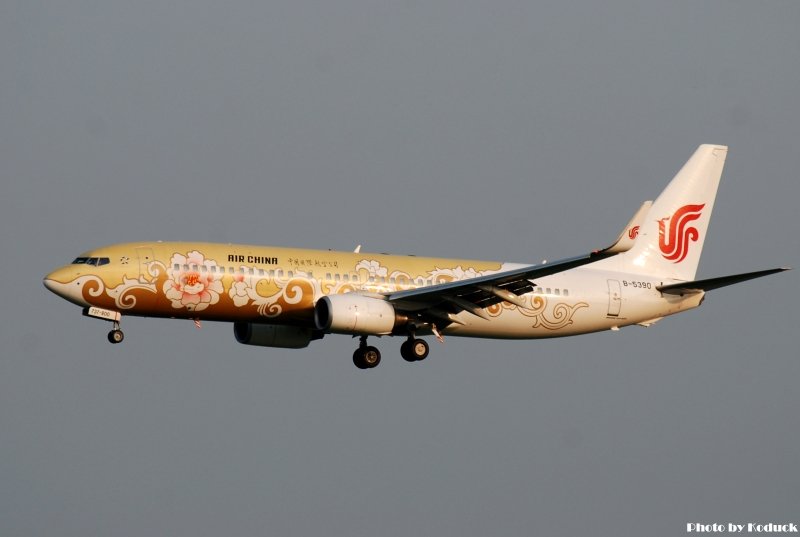 中國國際航空 B737-800(B-5390)@TIA_1(2)_20100608.jpg