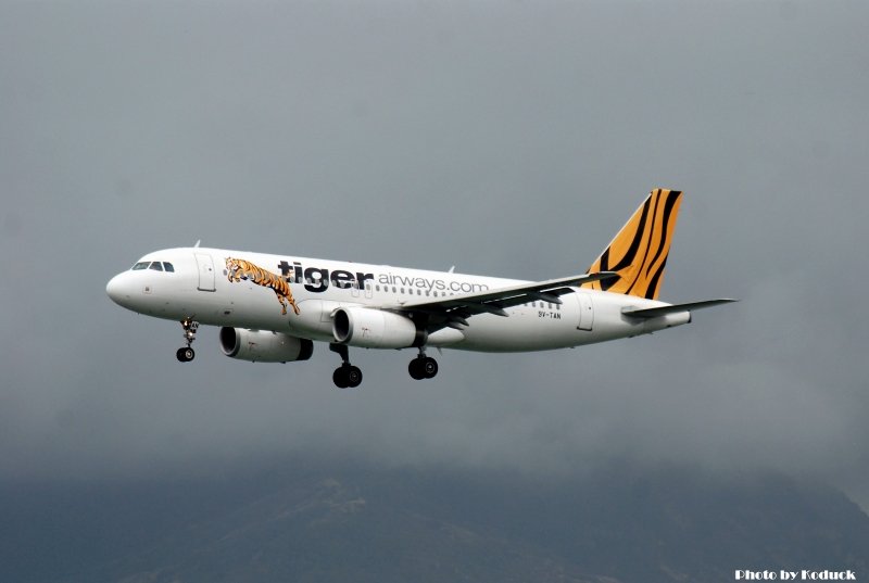 Tiger Airways Airbus A320-232(9V-TAN)@VVVH_1(2)_20100625.jpg