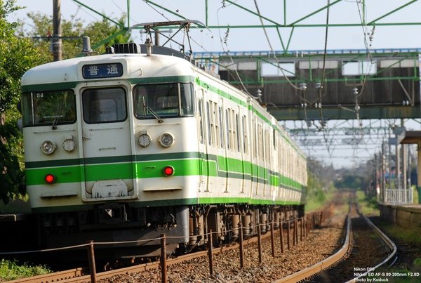 115系電車@古津站西_7(2)_20090910.jpg