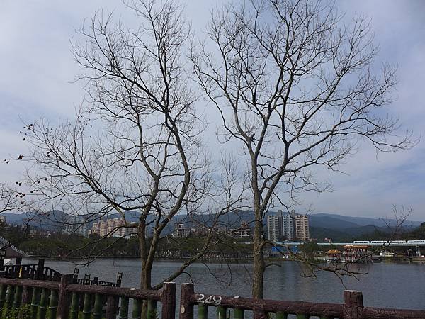 P1050522.JPG