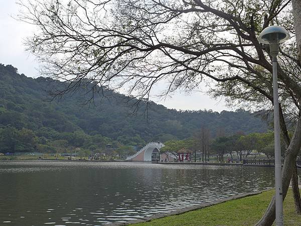 P1050543.JPG