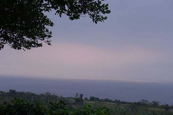 P1090842.JPG