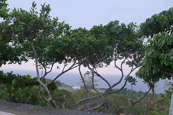 P1090846.JPG