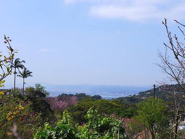 P1340678.JPG