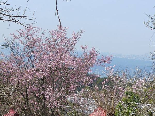 P1340700.JPG