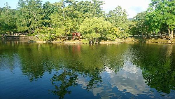 DSC_0771.JPG