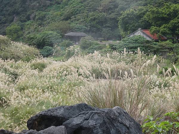 P1078111.JPG