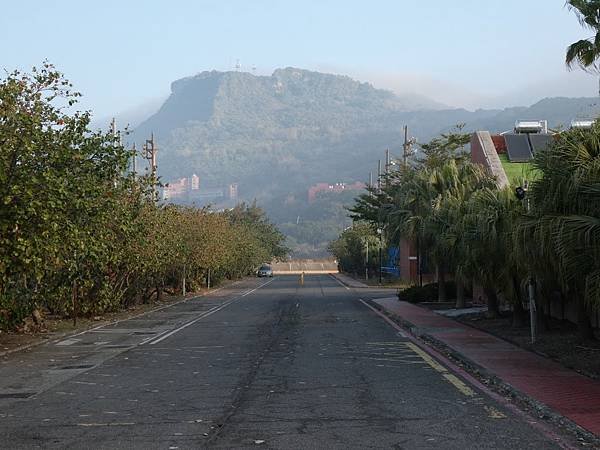 P1100545.JPG