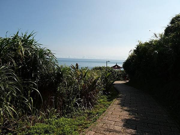 P1134004.JPG