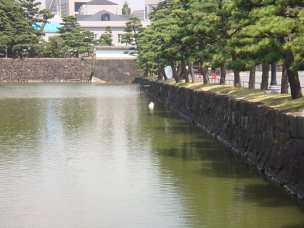 DSC01784.JPG