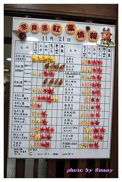 奈良散策5.jpg