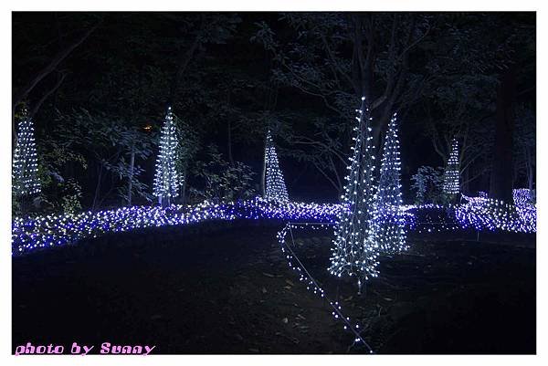 万葉植物園10.jpg