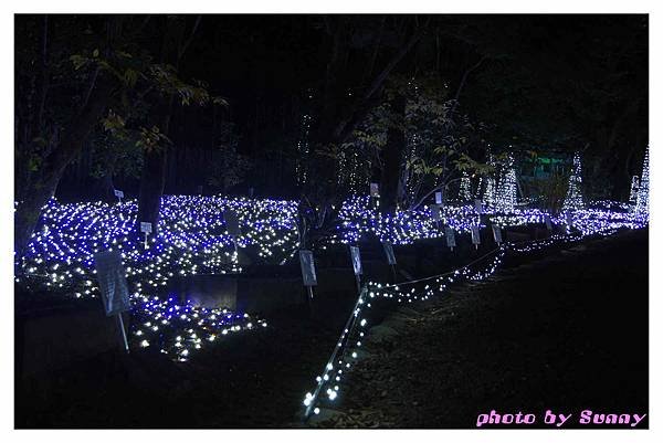 万葉植物園14.jpg