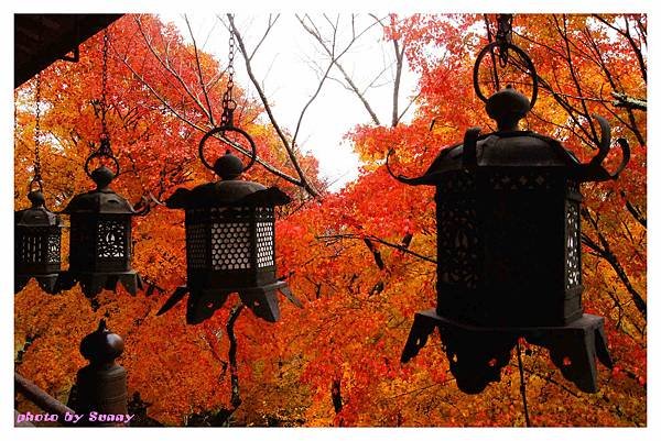 談山神社16.jpg