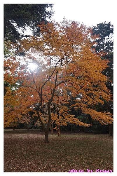 清水寺36.jpg