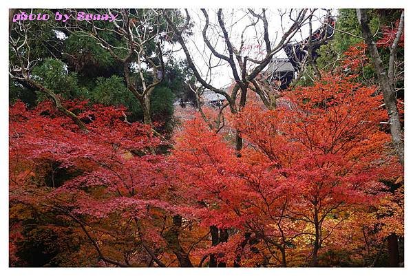 清水寺31.jpg