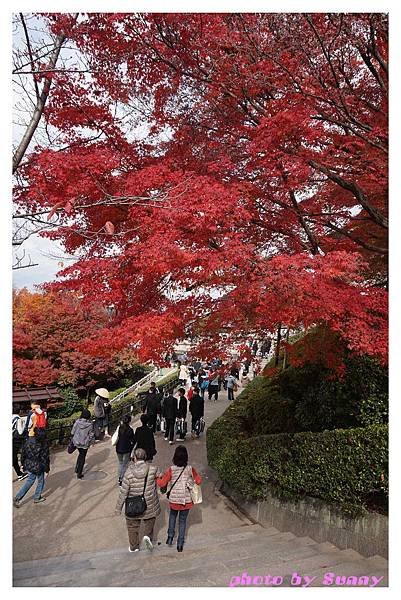 清水寺34.jpg