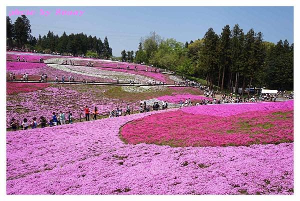 秩父羊山公園34.jpg