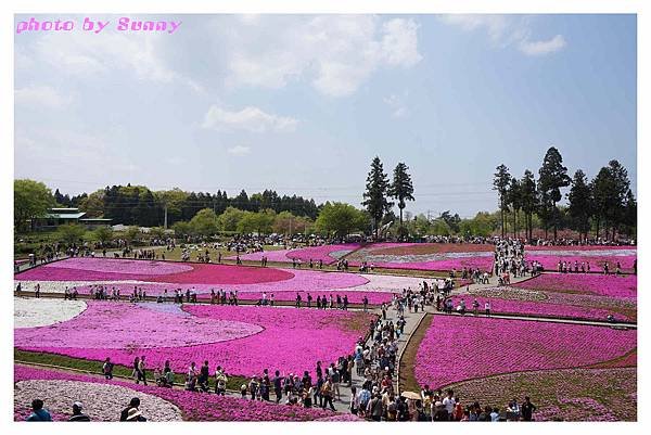 秩父羊山公園35.jpg