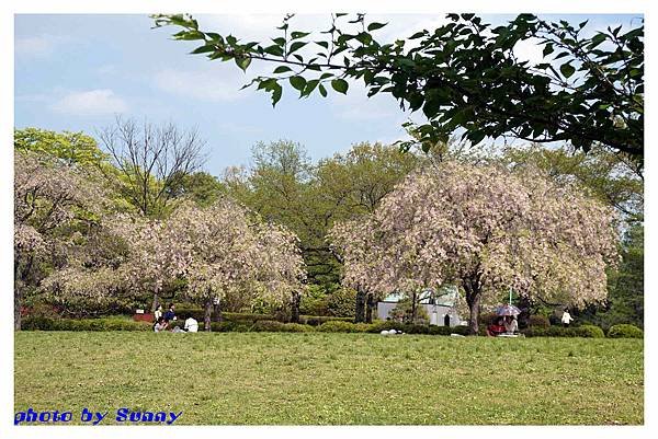 秩父羊山公園41.jpg