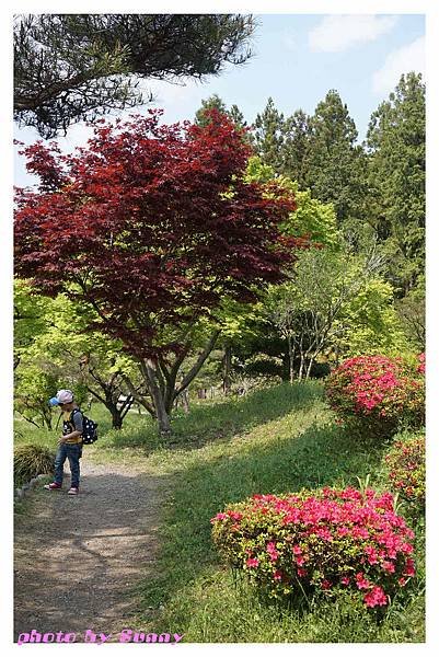 秩父羊山公園42.jpg