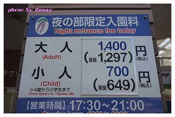 足利藤園46.jpg