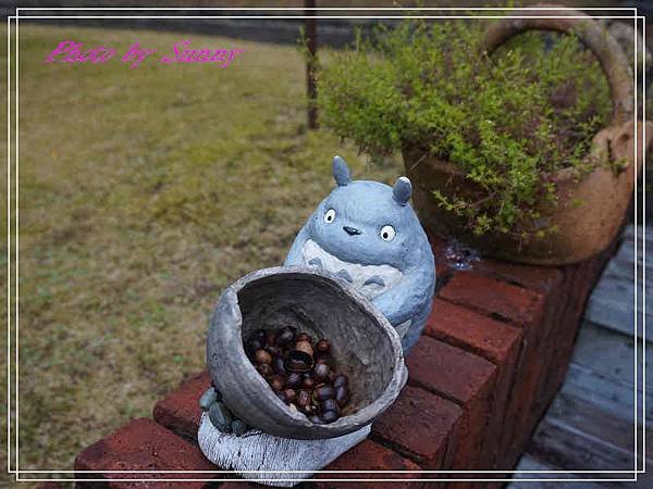 伊豆泰迪熊博物館51.jpg