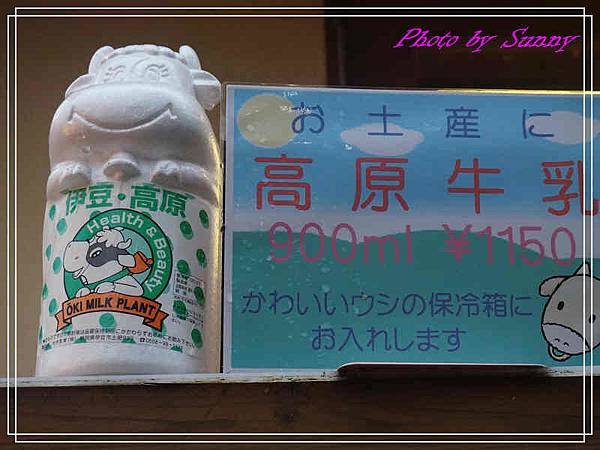 伊豆泰迪熊博物館60.jpg