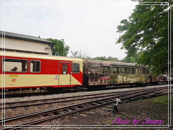 阿里山森林鐵路車庫園區5.jpg