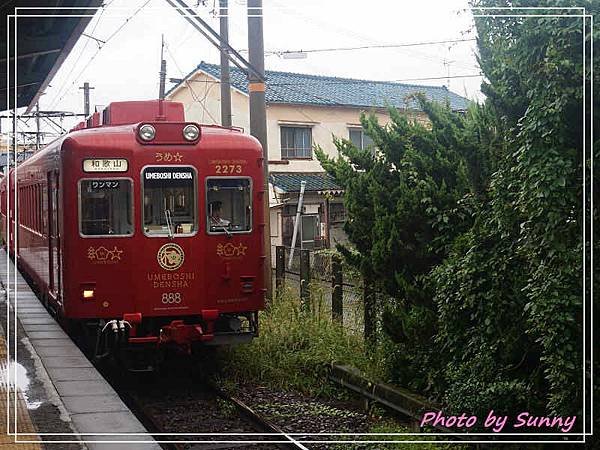 和歌山電鐵梅星列車1.jpg