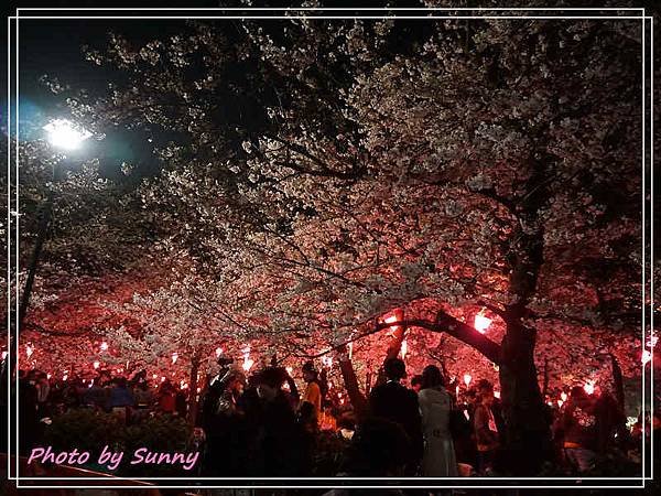 鶴舞公園2.jpg