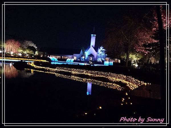 名花之里夜景14.jpg