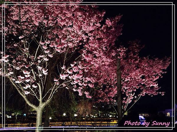 名花之里夜景15.jpg