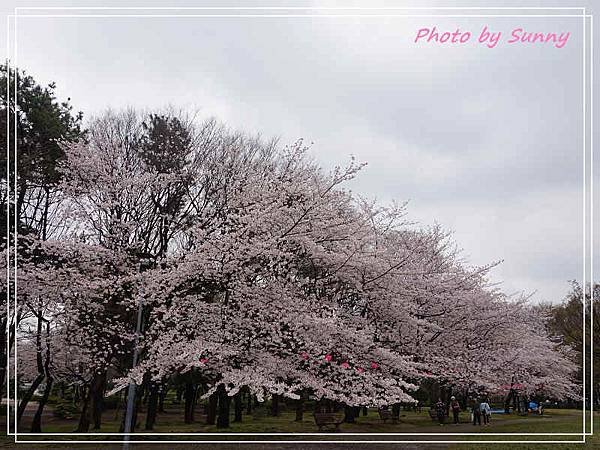 名城公園2.jpg