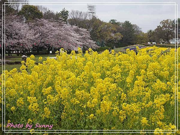 名城公園8.jpg