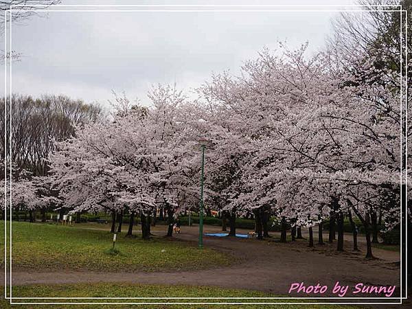 名城公園9.jpg