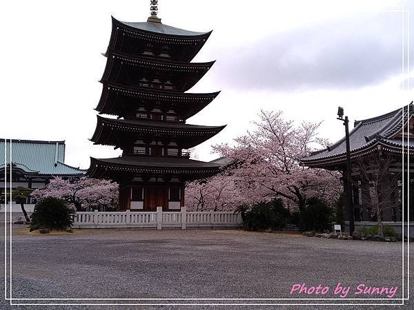 日泰寺9.jpg