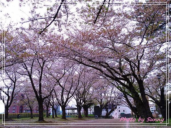 盛岡城跡公園6.jpg