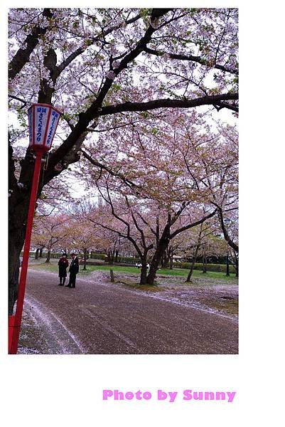 盛岡城跡公園16.jpg