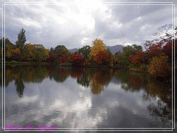 中島公園6.jpg