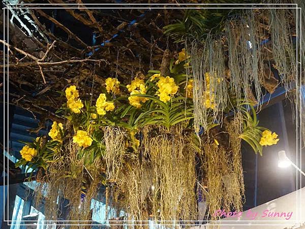 台中花博后里園區24.jpg