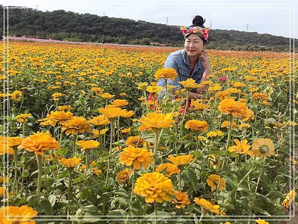 桃園花彩節6.jpg