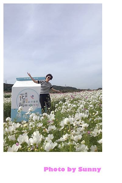 桃園花彩節15.jpg