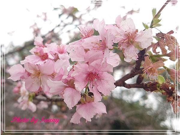 小半天石馬公園7.jpg