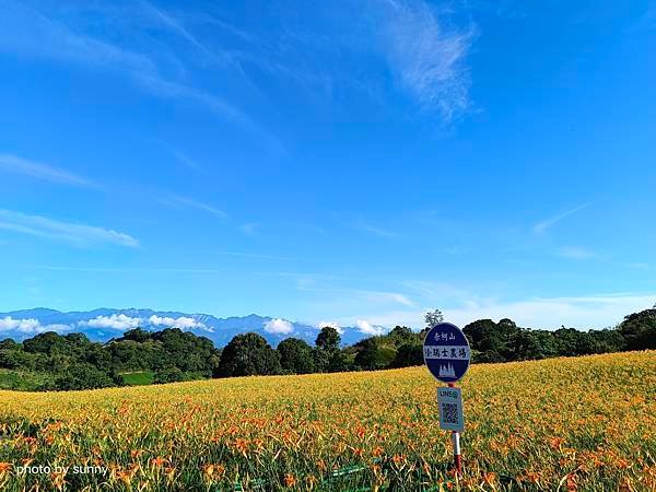 2023夏 花東忘憂草小旅行❤花蓮 赤柯山小瑞士農場❤