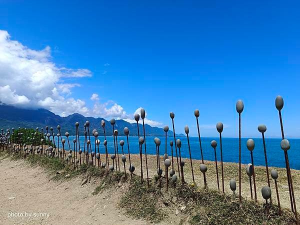 2023夏 花東忘憂草小旅行❤台東台１１線　石雨傘遊憩區&amp;加