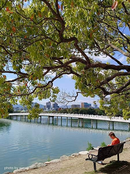 2023春 九州賞櫻趣❤九州博多 大濠公園❤