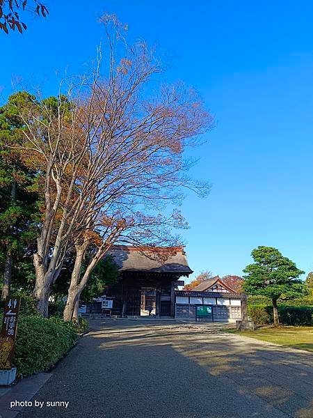 2023冬 日本北陸賞楓行❤富山縣高岡市 國寶高岡山瑞龍寺 